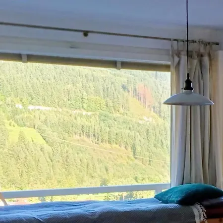 Apartament Amazing View Bad Gastein